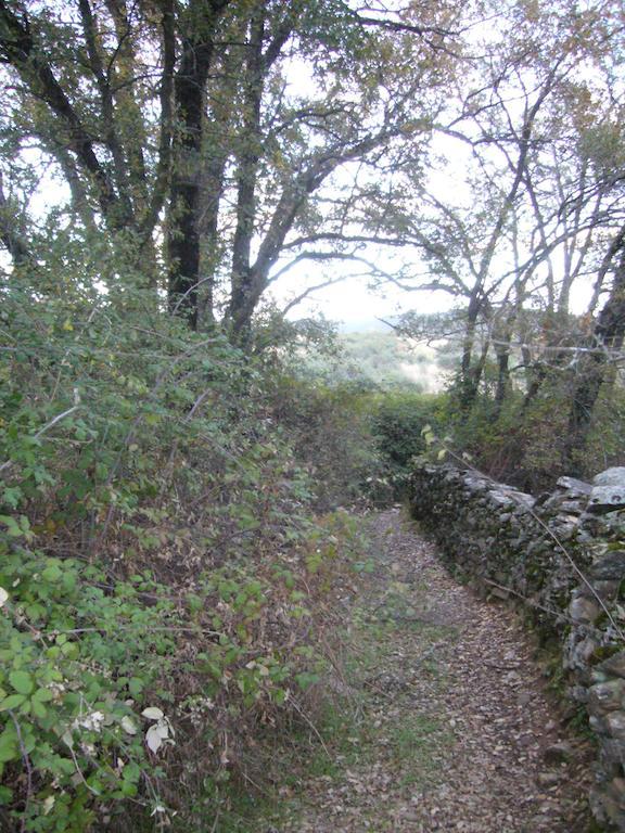 בית הארחה Cervera de Buitrago 	El Egio מראה חיצוני תמונה