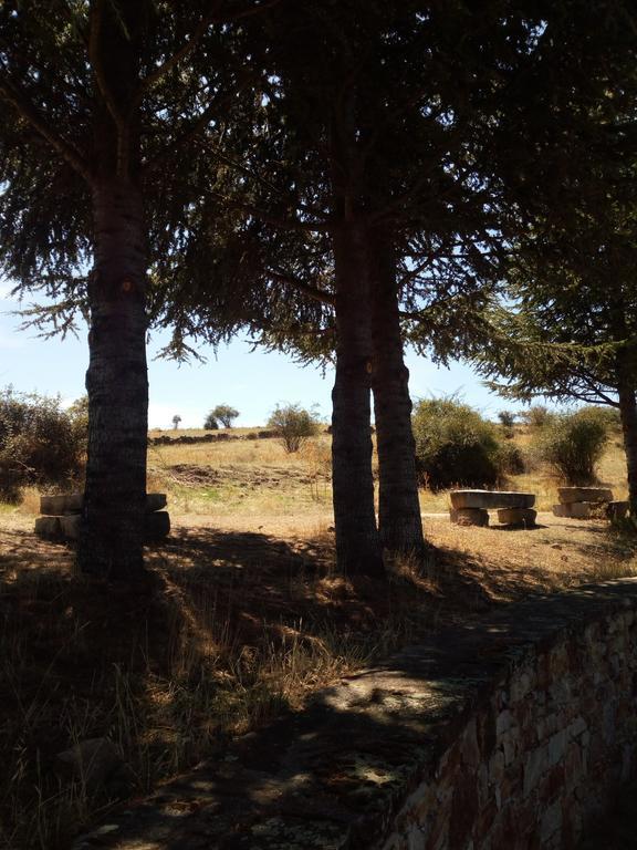 בית הארחה Cervera de Buitrago 	El Egio מראה חיצוני תמונה